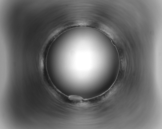 X0000098120350200804111119