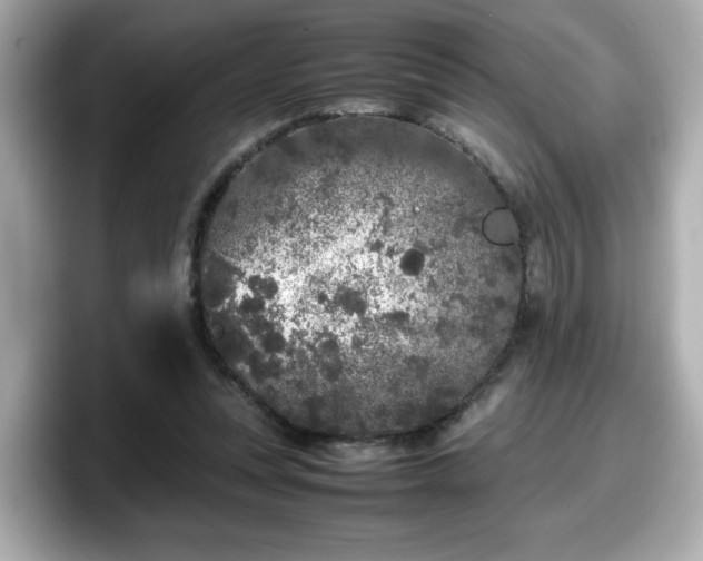 X0000098120351200804111120