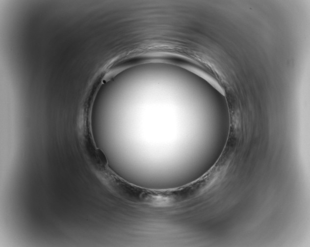 X0000098120352200804111120