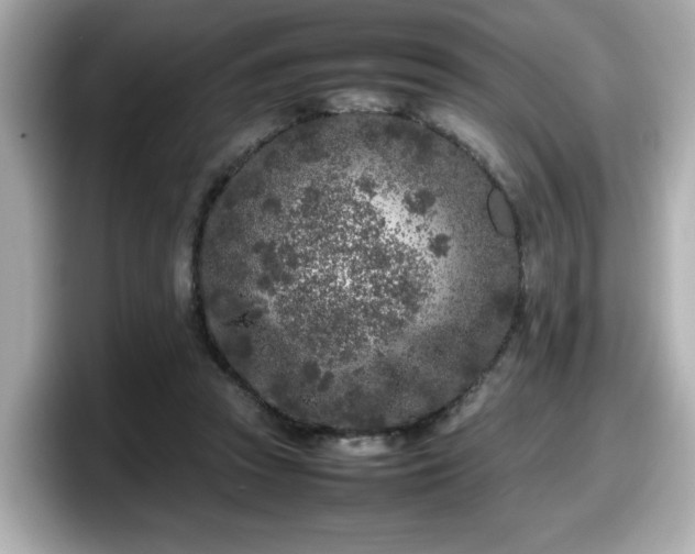 X0000098120353200804111120