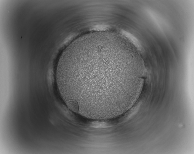 X0000098120354200804111120