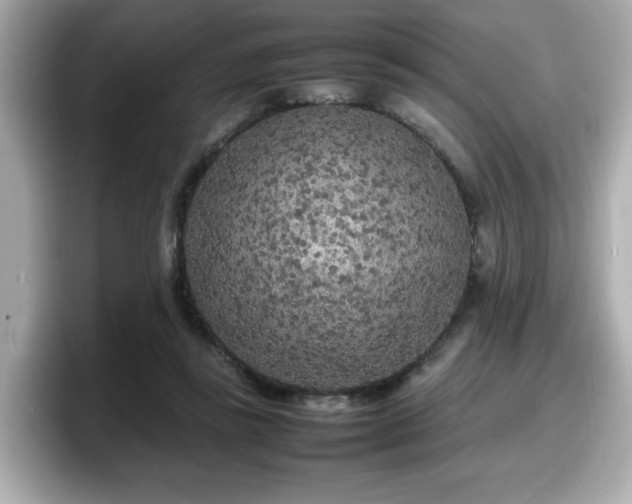 X0000098120355200804111120