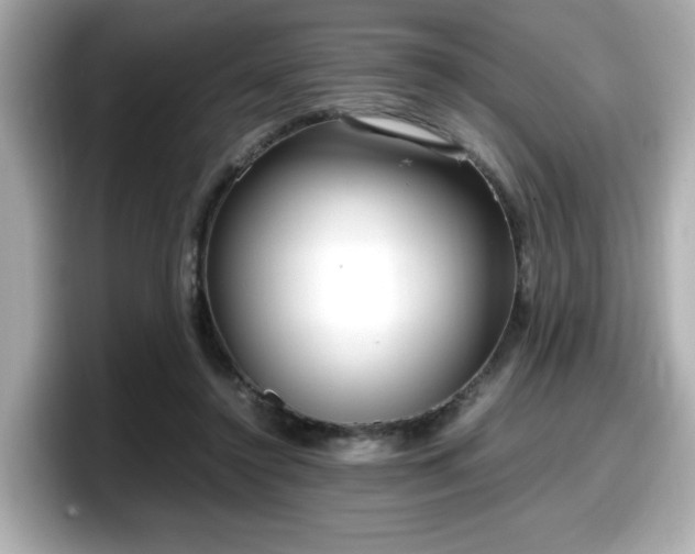X0000098120356200804111120