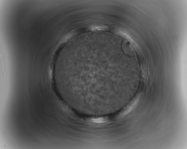 X0000098120357200804111120
