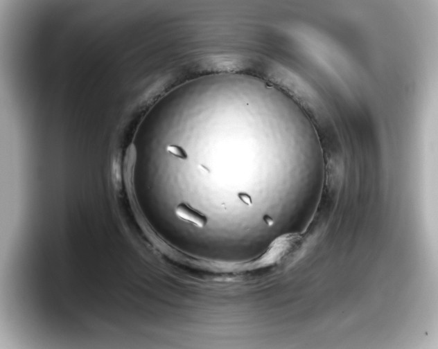 X0000098120358200804111120