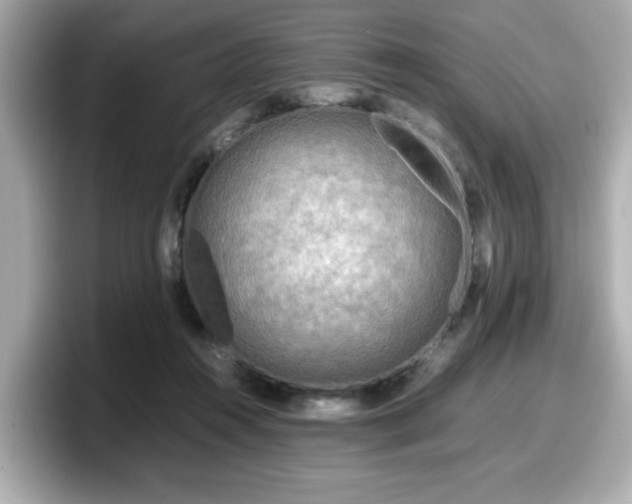 X0000098120360200804111120