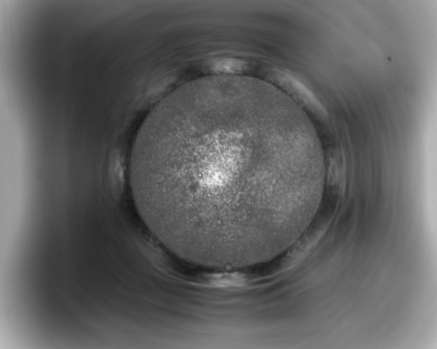 X0000098120363200804111120