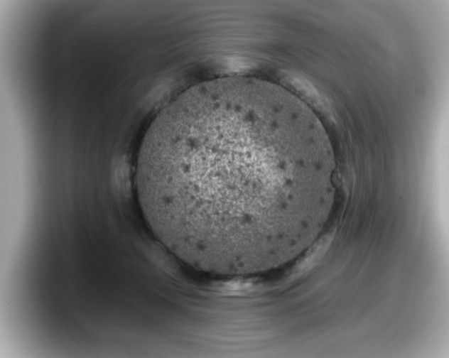 X0000098120366200804111120
