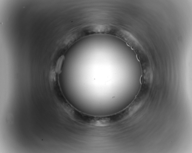 X0000098120368200804111120