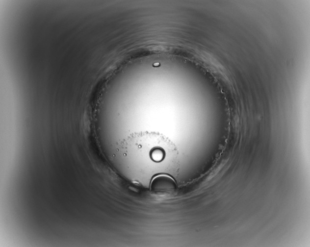 X0000098120370200804111120