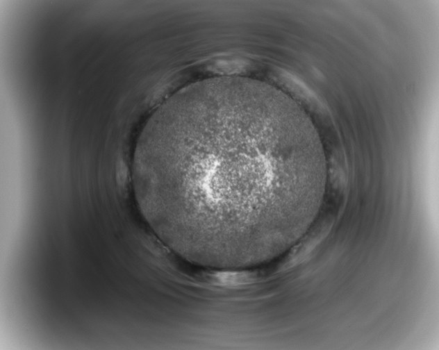 X0000098120371200804111120