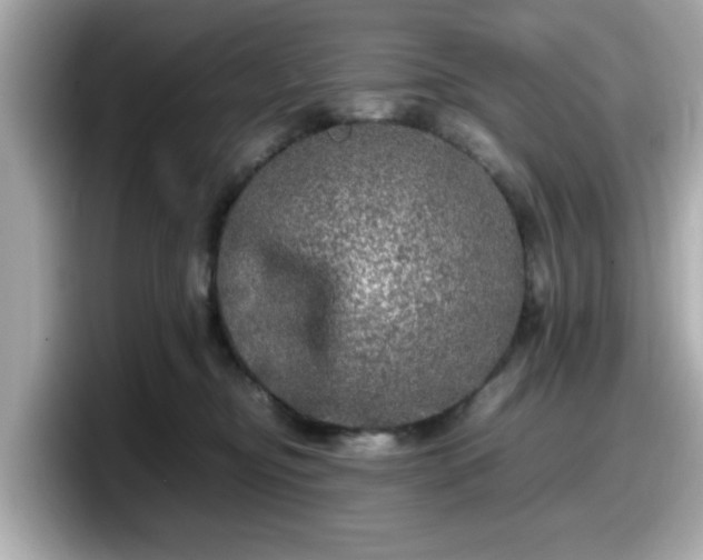 X0000098120374200804111120