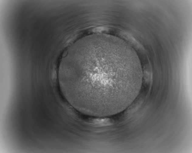 X0000098120375200804111120