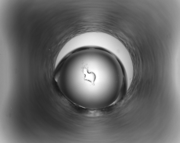 X0000098120376200804111120