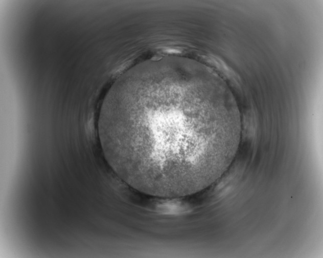X0000098120377200804111120