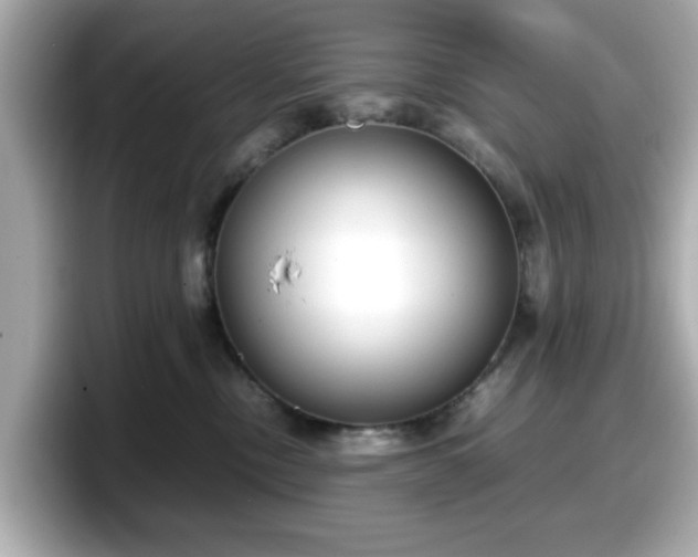 X0000098120378200804111120