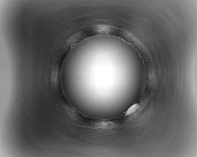 X0000098120379200804111120