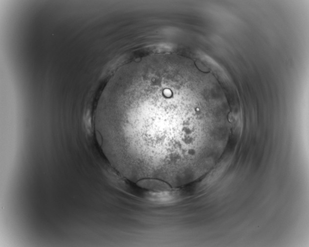 X0000098120381200804111120