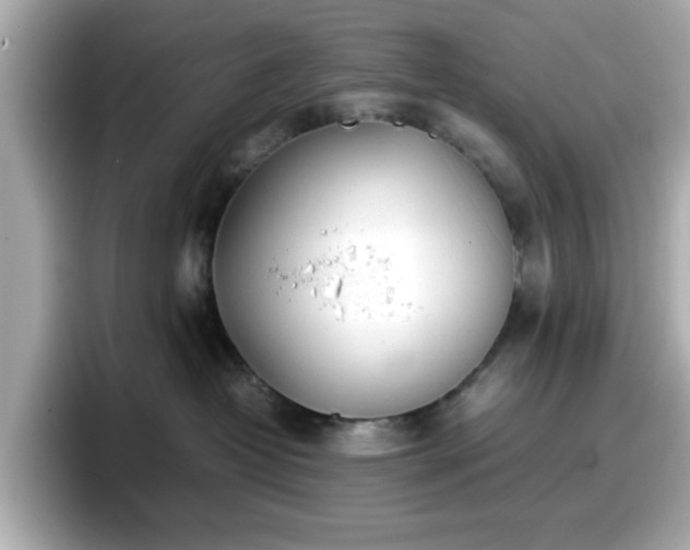 X0000098120382200804111120
