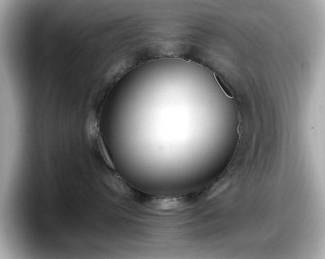 X0000098120384200804111120