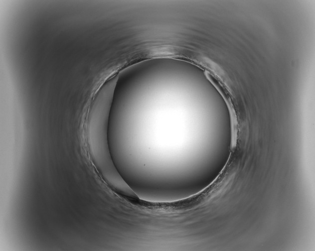 X0000098120385200804111119