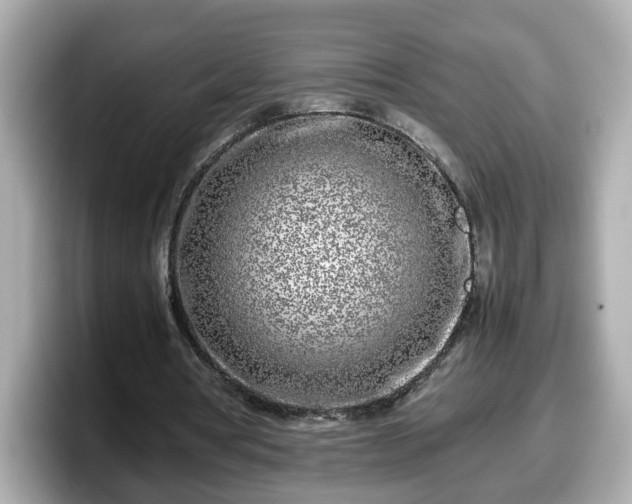 X0000098120386200804111119