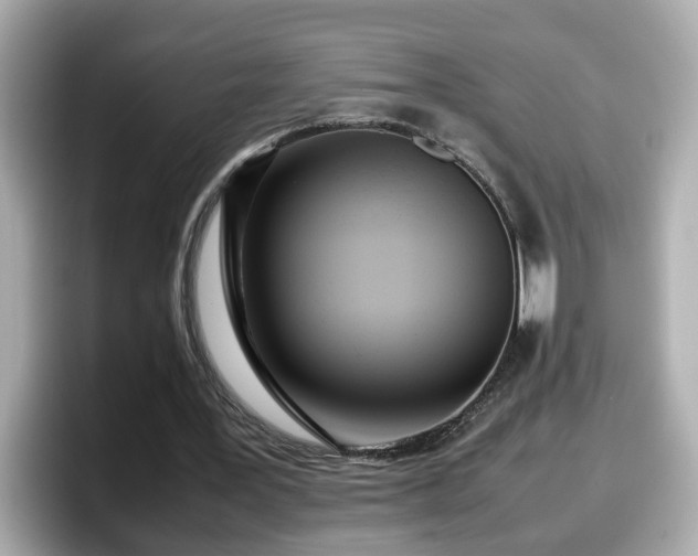 X0000098120387200804111119