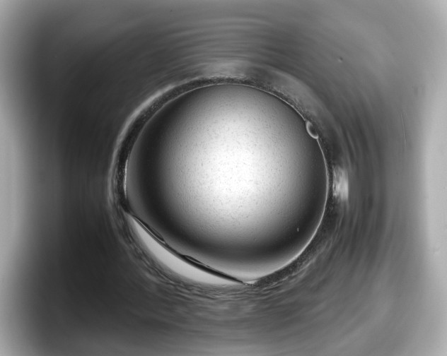 X0000098120388200804111119