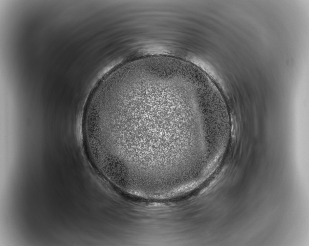 X0000098120390200804111119