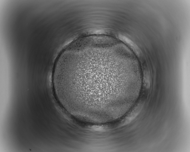 X0000098120394200804111119