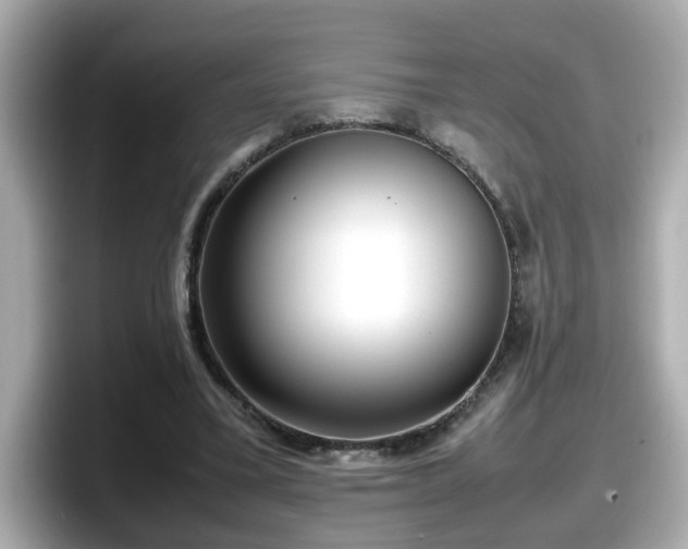 X0000098120395200804111119