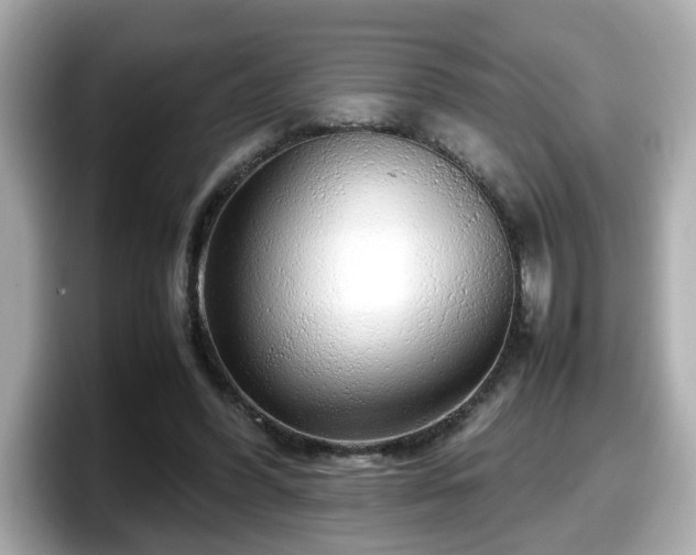 X0000098120396200804111119