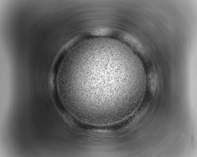 X0000098120400200804111119