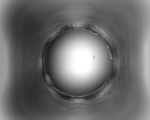 X0000098120401200804111119