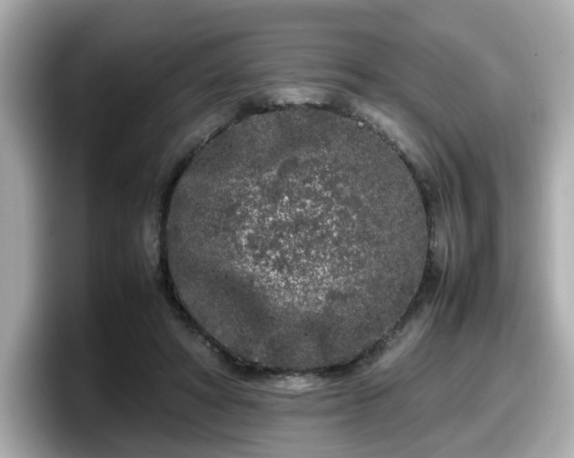 X0000098120402200804111119
