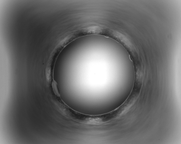 X0000098120403200804111119