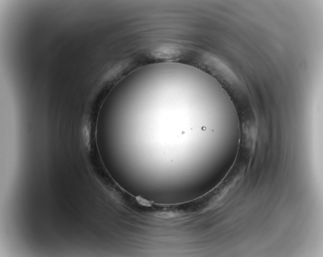 X0000098120404200804111119