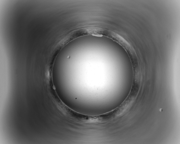 X0000098120405200804111119