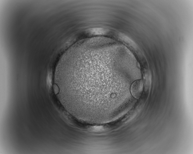 X0000098120406200804111119