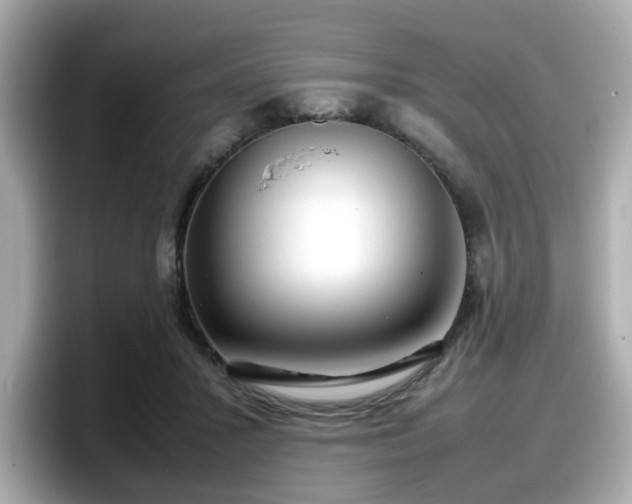 X0000098120407200804111119