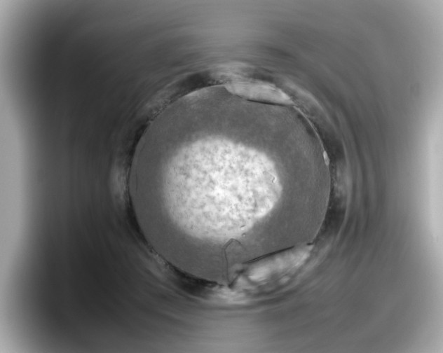 X0000098120409200804111119