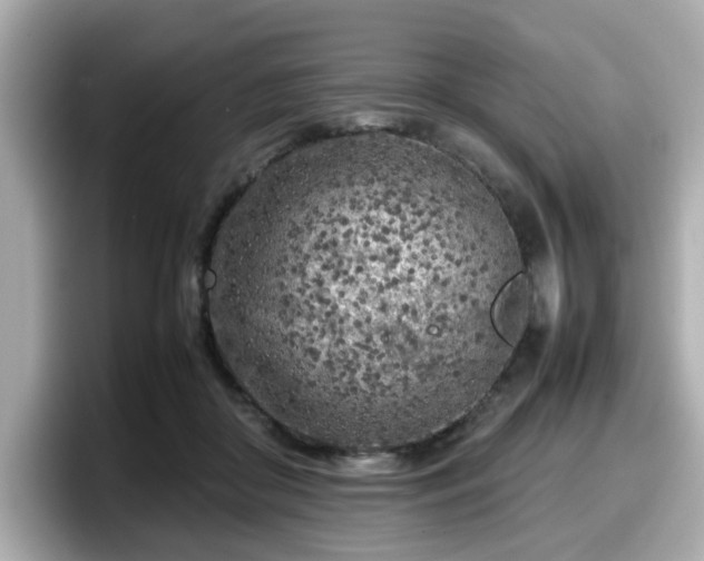 X0000098120410200804111119