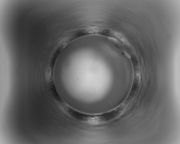 X0000098120411200804111119