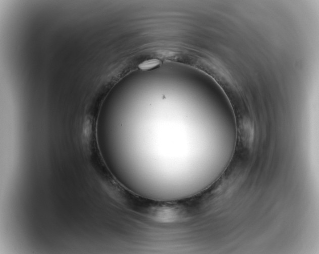 X0000098120412200804111119