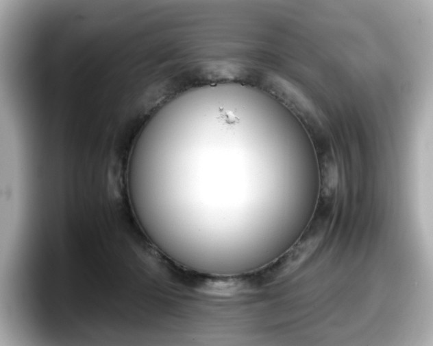 X0000098120414200804111119
