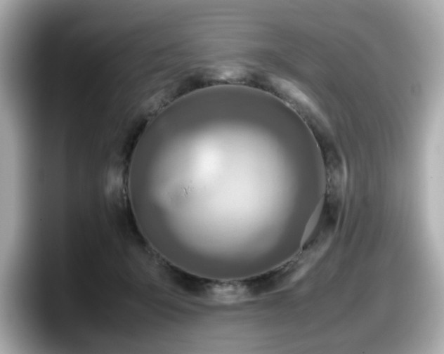 X0000098120415200804111119