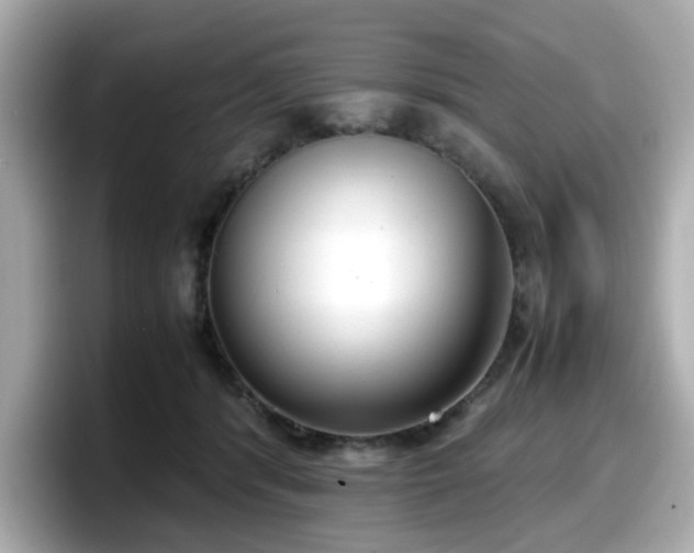 X0000098120416200804111119
