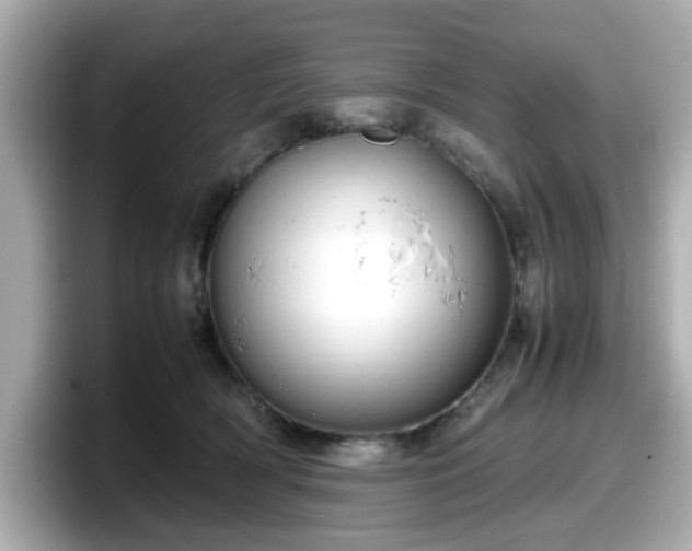 X0000098120418200804111119
