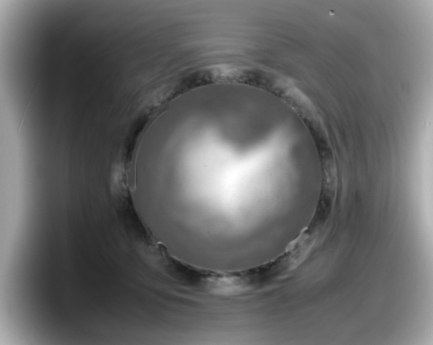 X0000098120419200804111119