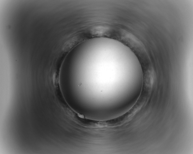 X0000098120420200804111119